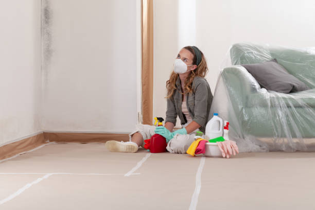 Reliable Commercial Mold Remediation contractor in Randolph, NJ by WQB Mold Removal