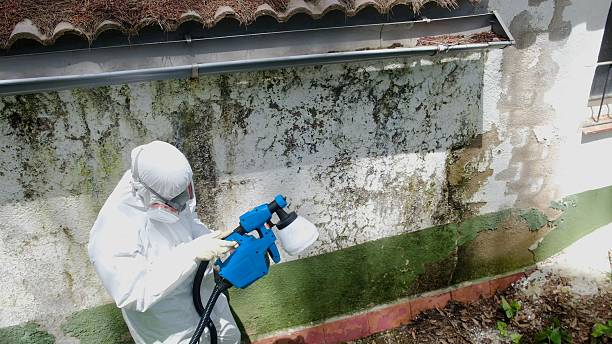 Top rated local Commercial Mold Remediation specialists in Randolph, NJ